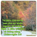 Ecard