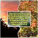 Ecard