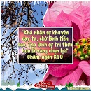Ecard