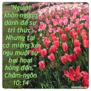 Ecard