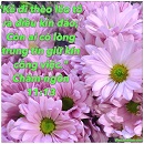 Ecard