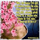 Ecard