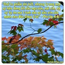 Ecard