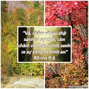 Ecard