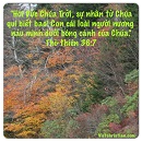 Ecard