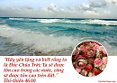 Ecard