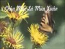 Chúa Mãi Là Mùa Xuân