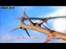 Yêu Thương Thập Tự