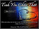 Tình Yêu Chân Thật
