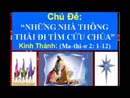 Những Nhà Thông Thái Đi Tìm Cứu Chúa