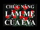 Chức Năng Làm Mẹ Của Ê-va