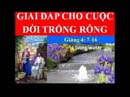 Giải Đáp Cho Cuộc Đời Trống Rỗng