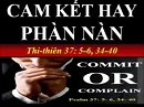 Cam Kết Hay Phàn Nàn