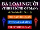 Ba Loại Người