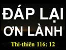 Đáp Lại Ơn Lành