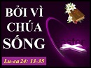Bởi Vì Chúa Sống